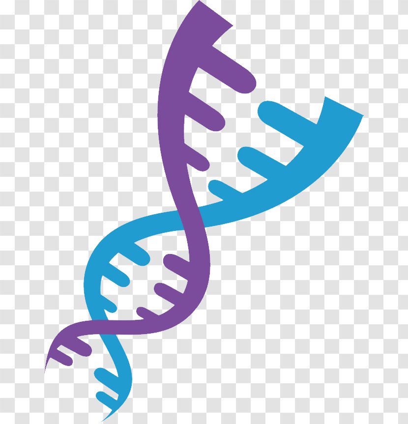 DNA Clip Art - Text - Dna Phenotyping Transparent PNG