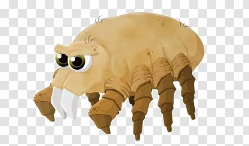 House Dust Mites Acari Allergy - Demodex - Insect Transparent PNG