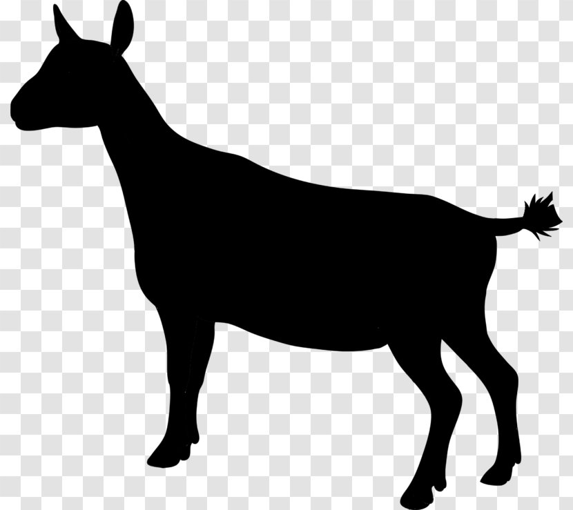 Goat Mustang Cattle Donkey Sheep - Mammal - Chamois Transparent PNG