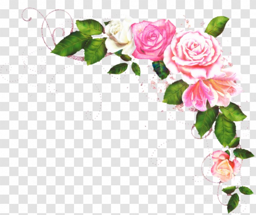 Pink Flowers Background - Branch - Camellia Floribunda Transparent PNG