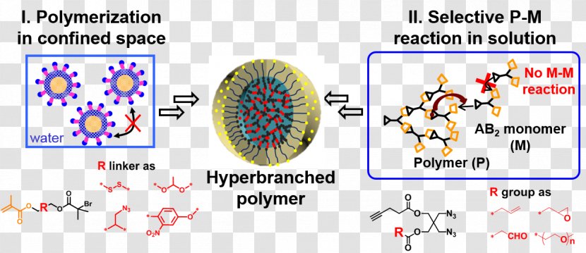 Polymer Reactions Chemistry Reversible-deactivation Polymerization - Frame - Flower Transparent PNG