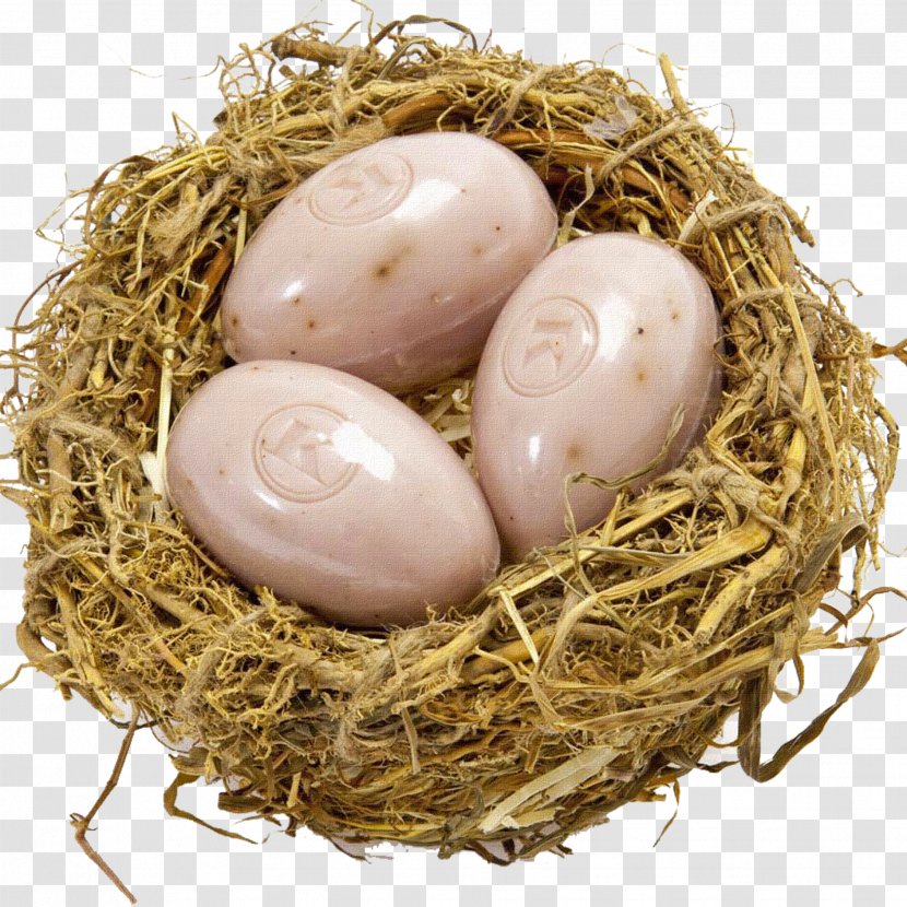 Bird Nest Egg Clip Art - Holiday Transparent PNG