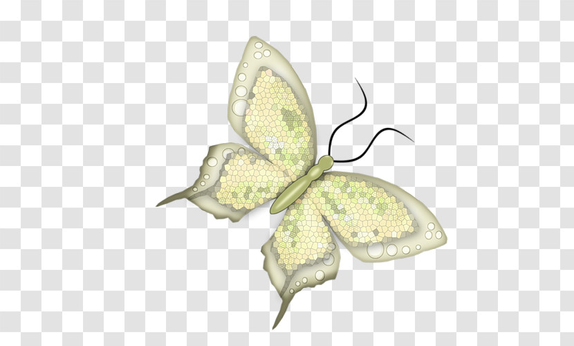 Butterfly Insect Moths And Butterflies Pollinator Brooch Transparent PNG