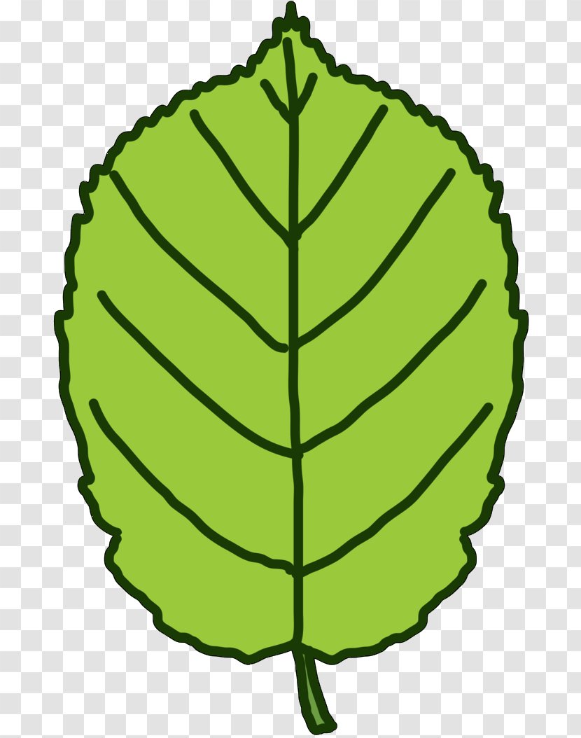Clip Art Plant Stem Leaf Line Commodity - Plants - Symmetry Transparent PNG