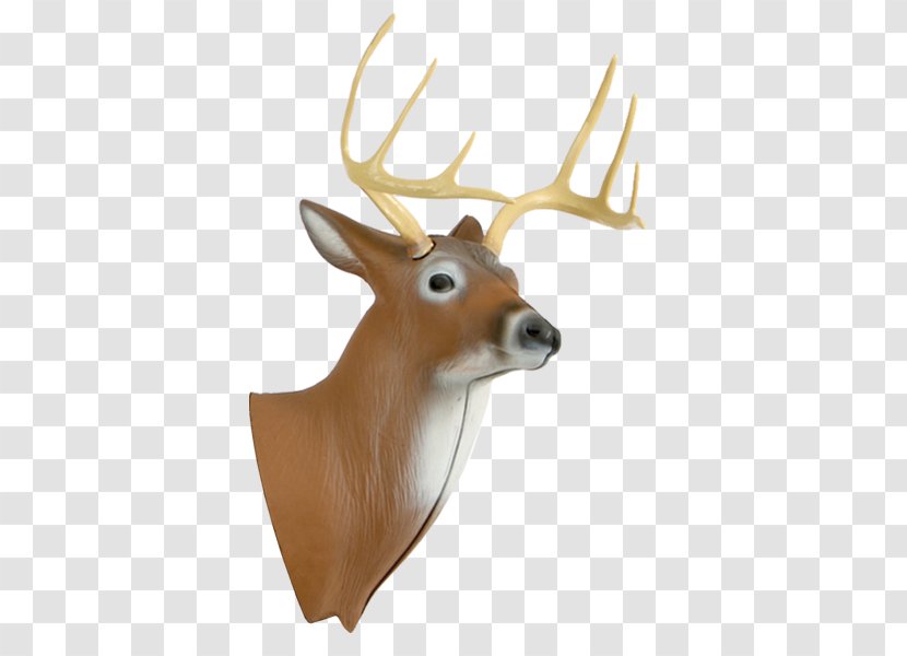 Deer Target Archery Hunting Shooting - Horn - Head Transparent PNG