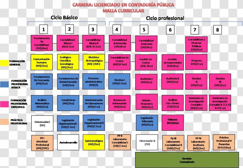 Document Graphic Design Computer Program Pattern - Curriculum Transparent PNG