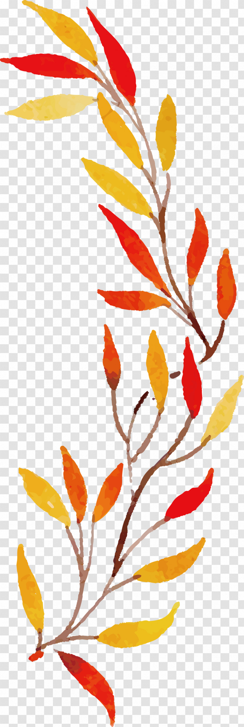 Autumn Leaf Colorful Leaf Transparent PNG