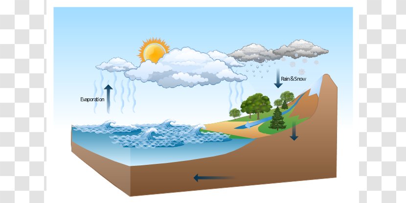 Diagram Water Cycle Nature Drawing Illustration - Surface Runoff - Atmosphere Cliparts Transparent PNG