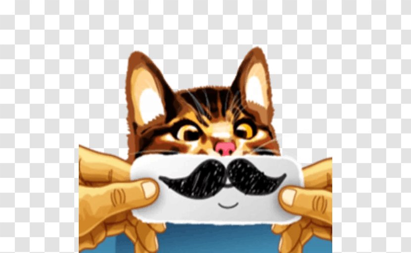 Whiskers Cat Kitten Telegram Sticker - Flower Transparent PNG