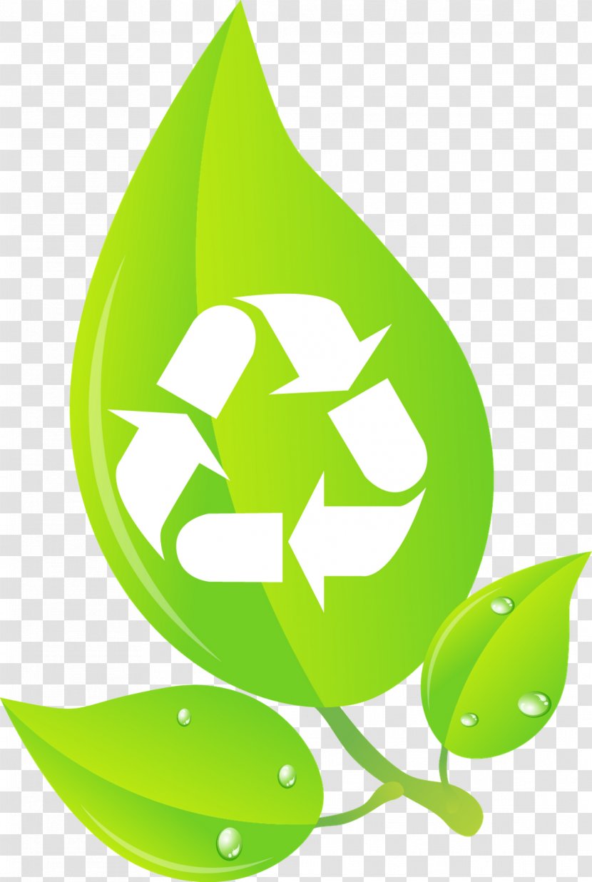 Recycling Bin Rubbish Bins & Waste Paper Baskets Symbol - Fruit - Food Logo Concept Transparent PNG