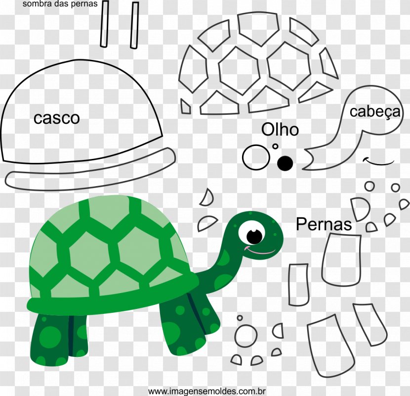 Tortoise Sea Turtle Molde Drawing - Diagram Transparent PNG