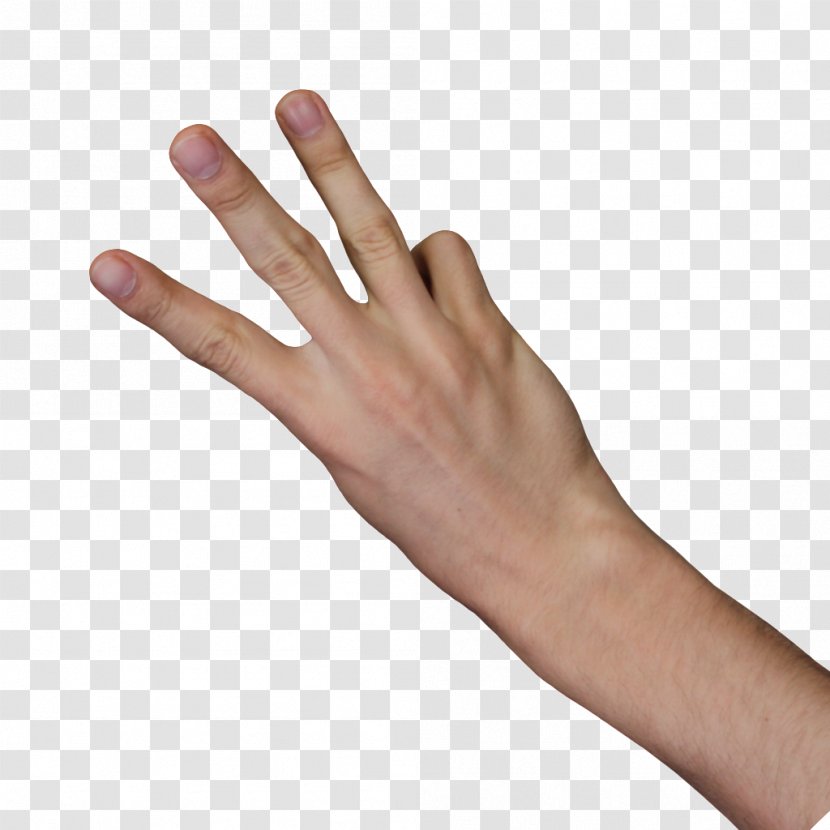 Nail Thumb Digit Finger - Hand Model - 3 Fingers Transparent PNG