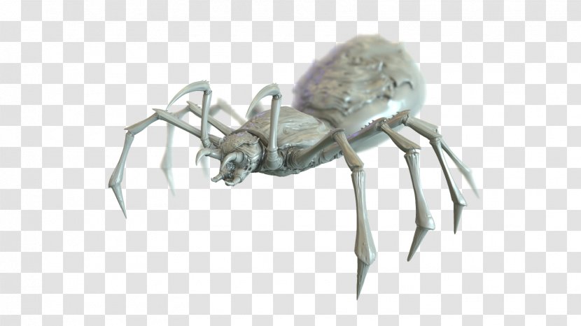 Insect K2 Decapoda Arachnid Anthony McPartlin - Organism Transparent PNG