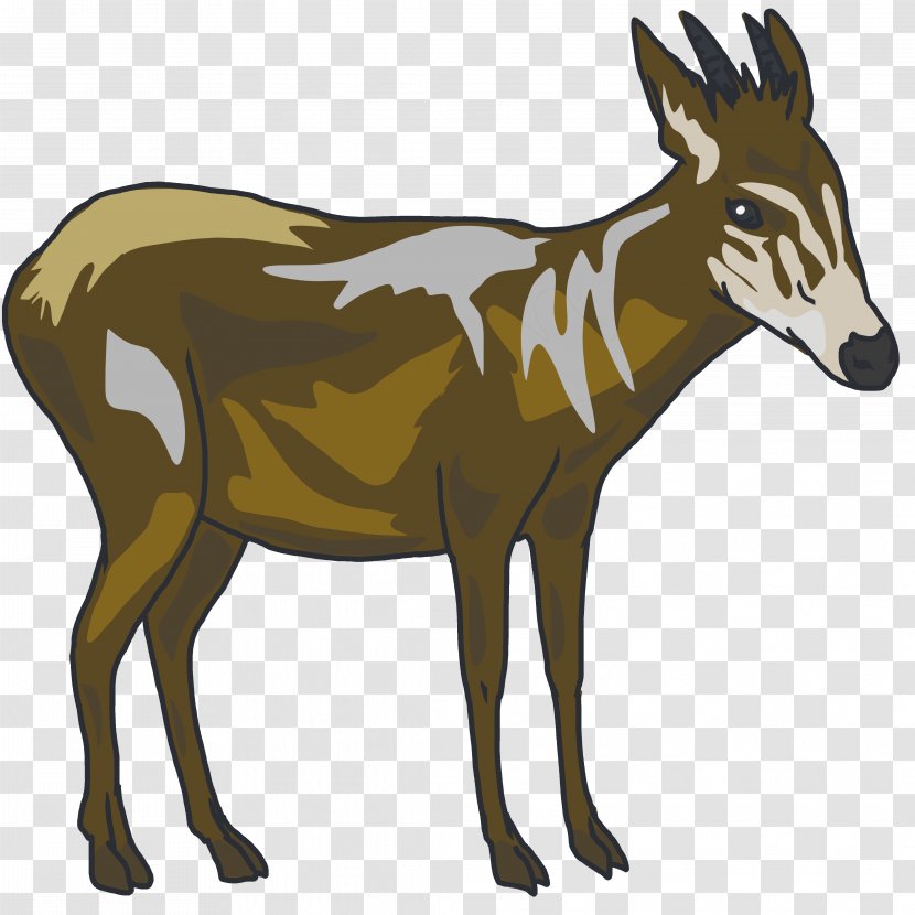 Elk Musk Deers Donkey Antelope Transparent PNG