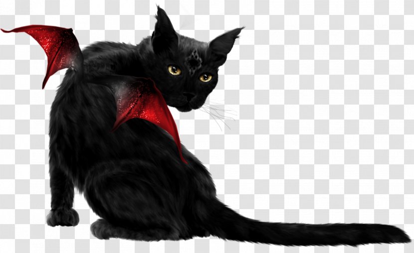 Black Cat Bombay - Mammal - Carnivoran Transparent PNG