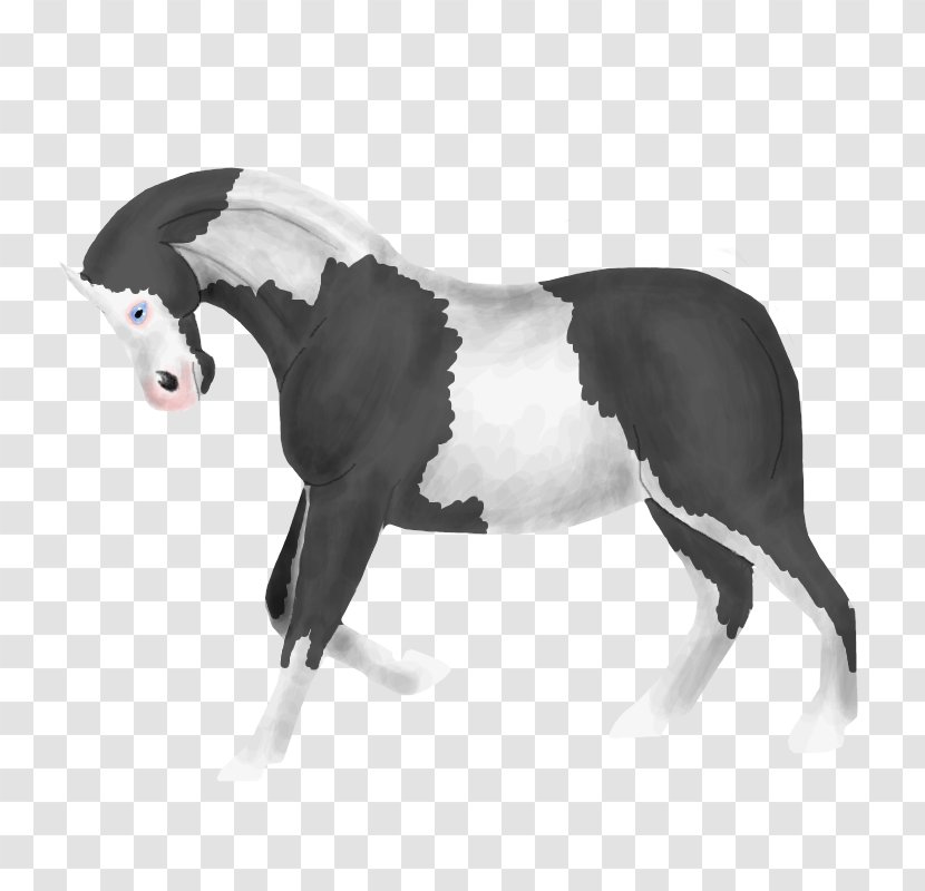 Stallion Mustang Rein Mare Pony - Livestock Transparent PNG