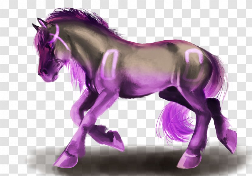 Mustang Stallion Foal Mare Colt - Violet Transparent PNG