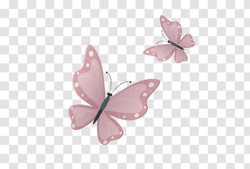 Butterfly Google Images Download - Pollinator - Pink Transparent PNG