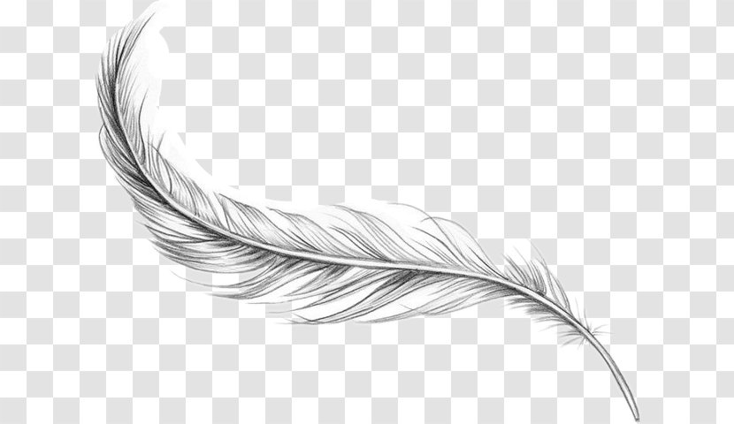 Bird Feather Tattoo Artist Ankle - Idea Transparent PNG