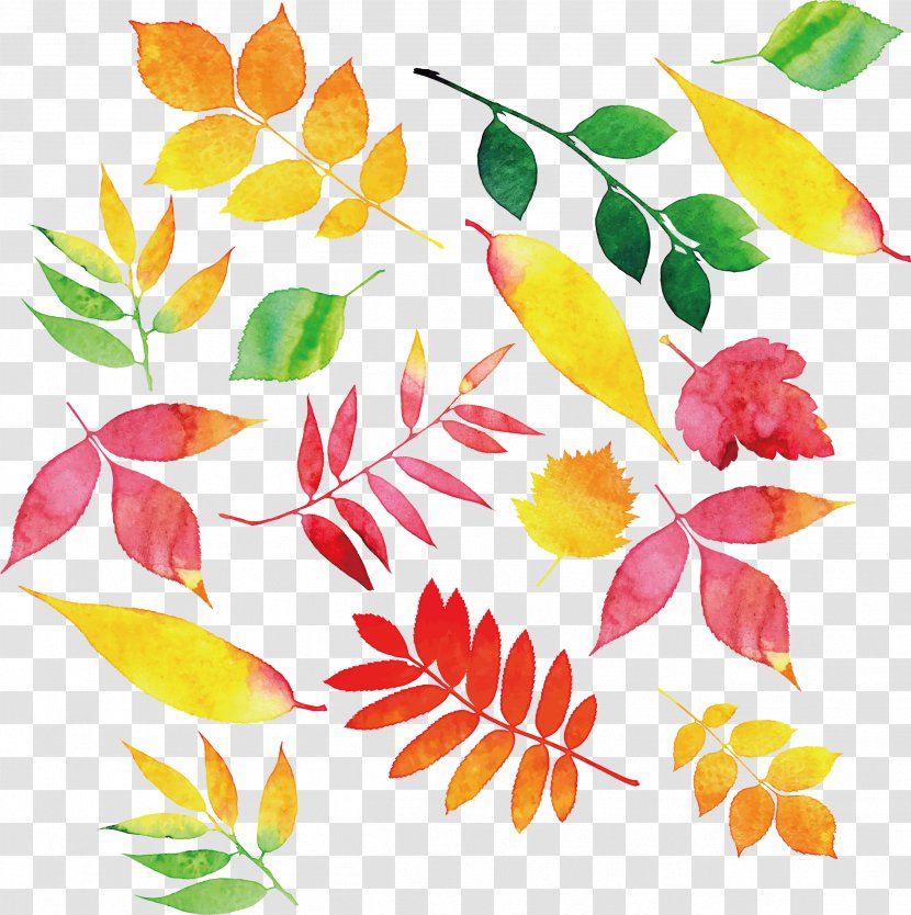 Autumn Leaf Color - Watercolor Leaves Transparent PNG