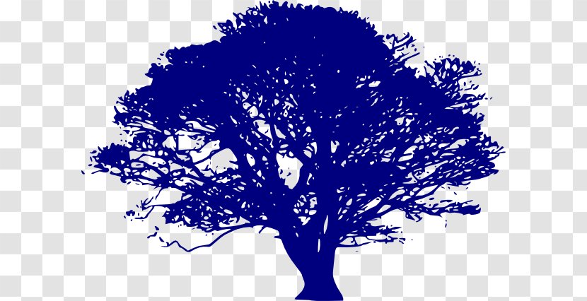 Quercus Suber English Oak Lobata Tree Clip Art - Copyright - Blue Family Cliparts Transparent PNG