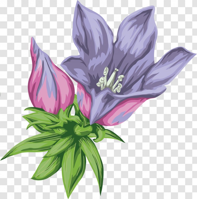 Bellflowers Desktop Wallpaper Clip Art - Purple - Blue Flowers Transparent PNG