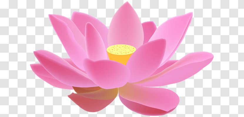 Sacred Lotus Vector Graphics Chinese New Year Mid-Autumn Festival Image - Artificial Flower - Readymade Background Transparent PNG