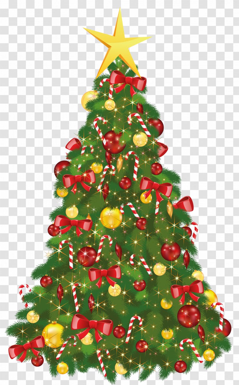 Christmas Tree Day Santa Claus - Fir - Transparent Xmas With Star Transparent PNG