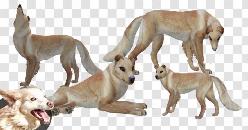 Lurcher Whippet Spanish Greyhound Sloughi - Dog - Border Collie Transparent PNG