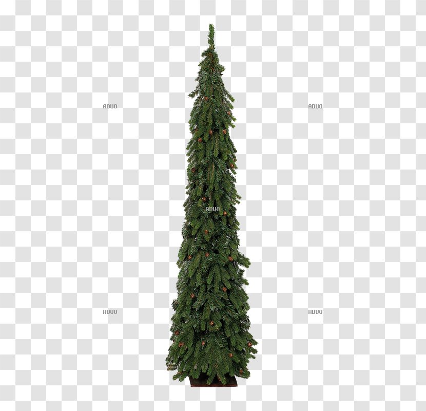 Spruce Fir Christmas Tree Pine O Tannenbaum Transparent PNG