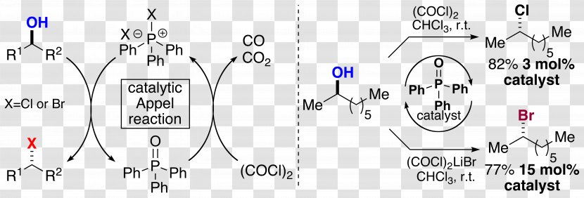 Appel Reaction Halide Alcohol Chemical Chemistry - Frame - Flower Transparent PNG