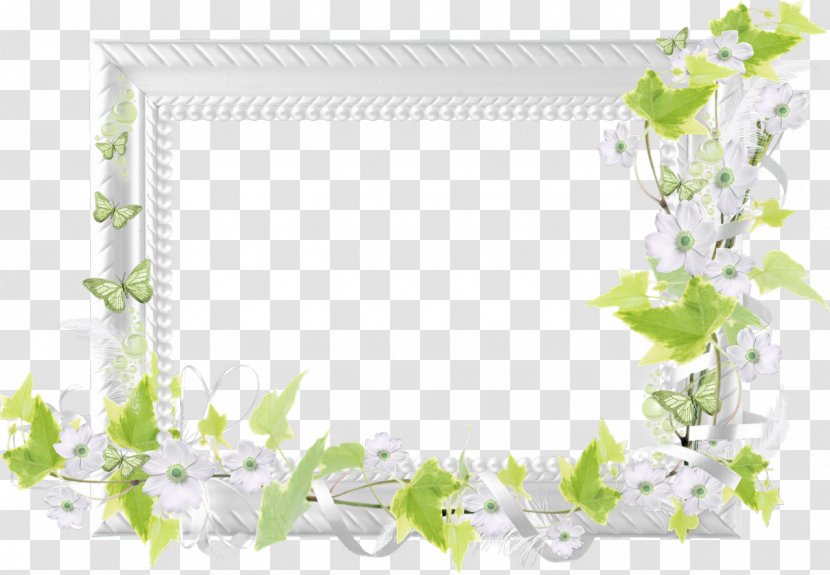 Picture Frames Image Clip Art Adobe Photoshop - Flowering Plant - 3 Transparent PNG
