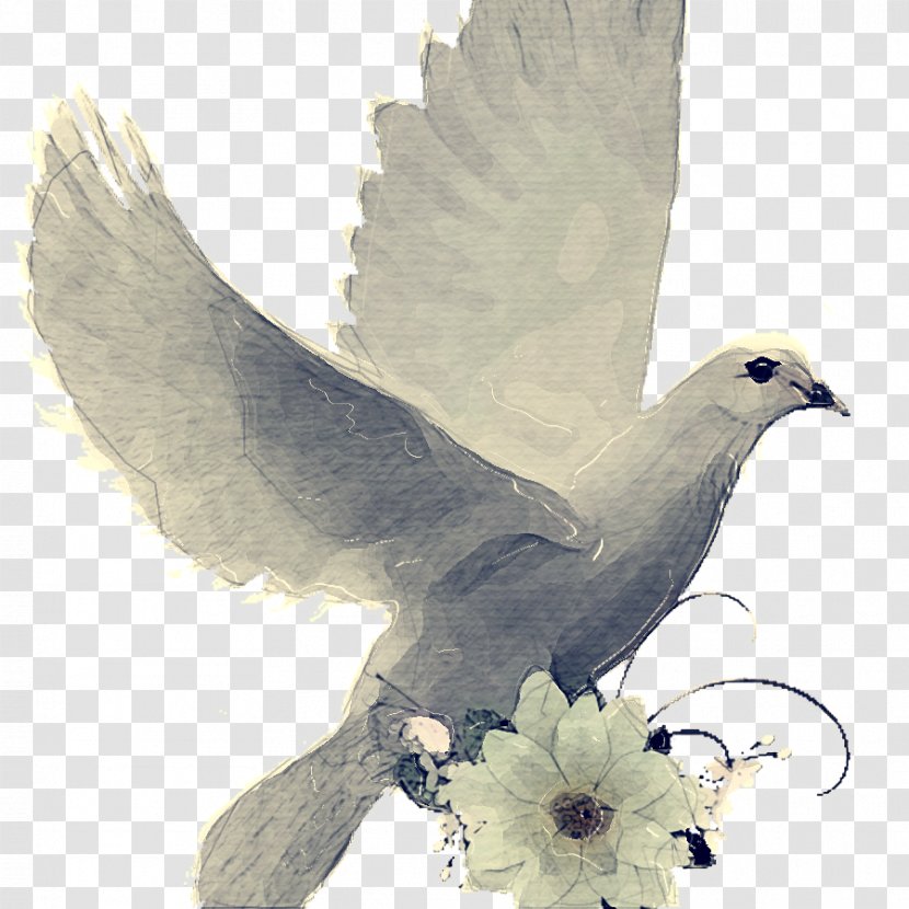 Peace And Love - Bird - Symbols Feather Transparent PNG