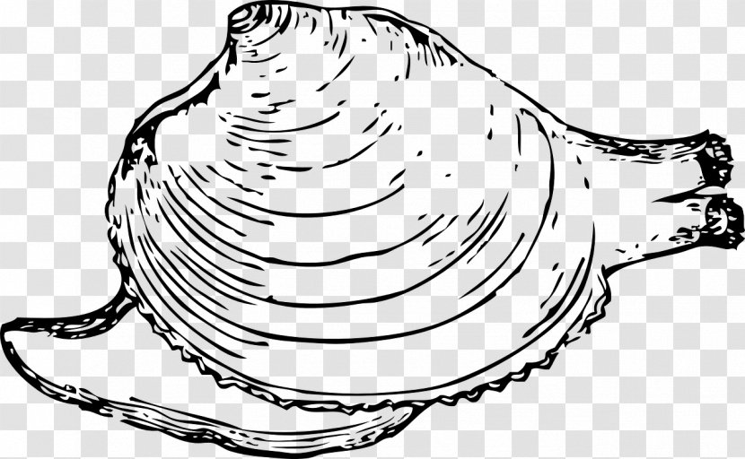 Hard Clam Coloring Book Clip Art - Organism - Mollusk Transparent PNG