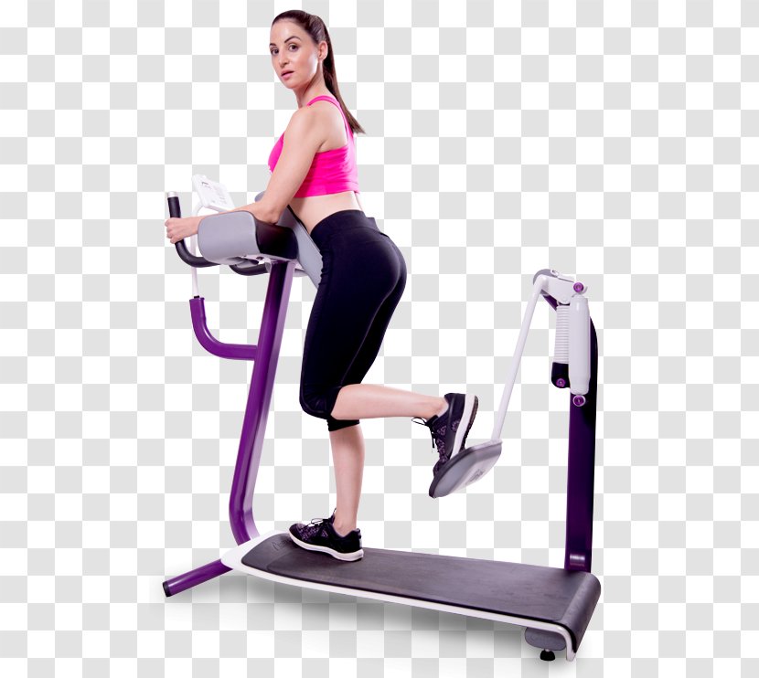 Curves International Physical Fitness Exercise Elliptical Trainers Strength Training - Cartoon - Gym Transparent PNG