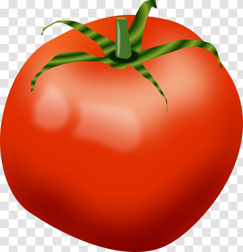 Cherry Tomato Vegetable Clip Art - Plant - Red Tomatoes Transparent PNG