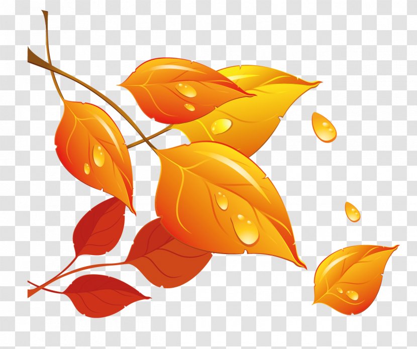 Autumn Leaf - Transparent Fall Leaves Clipart Transparent PNG