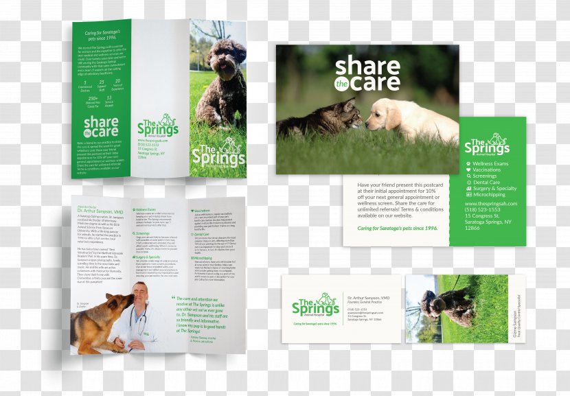 Brand Brochure - Grass Transparent PNG