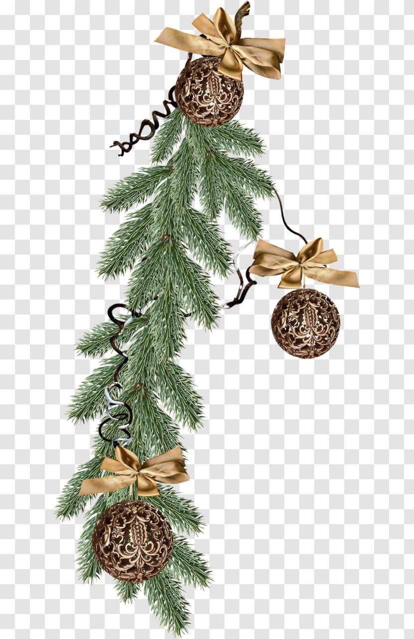 Spruce Christmas Ornament Tree Fir Pine - Decor Transparent PNG