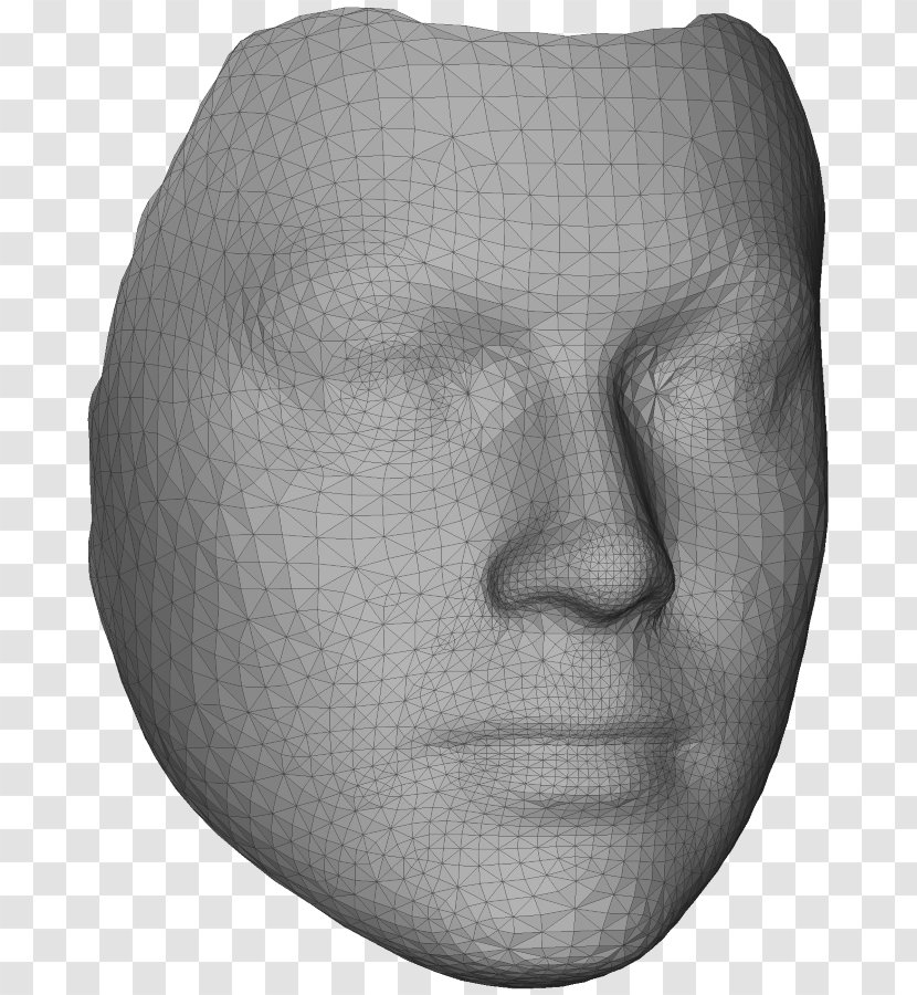 Nose Face Polygon Mesh 3D Modeling Three-dimensional Space - Forehead Transparent PNG