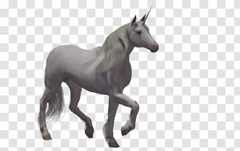 Unicorn Rendering - Mare Transparent PNG