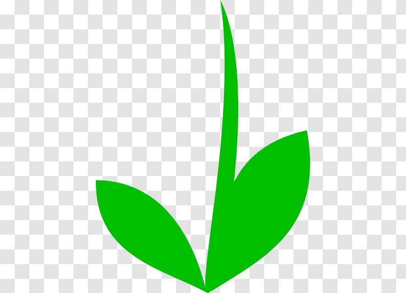 Plant Stem Flower Leaf Clip Art - Color - Template Transparent PNG