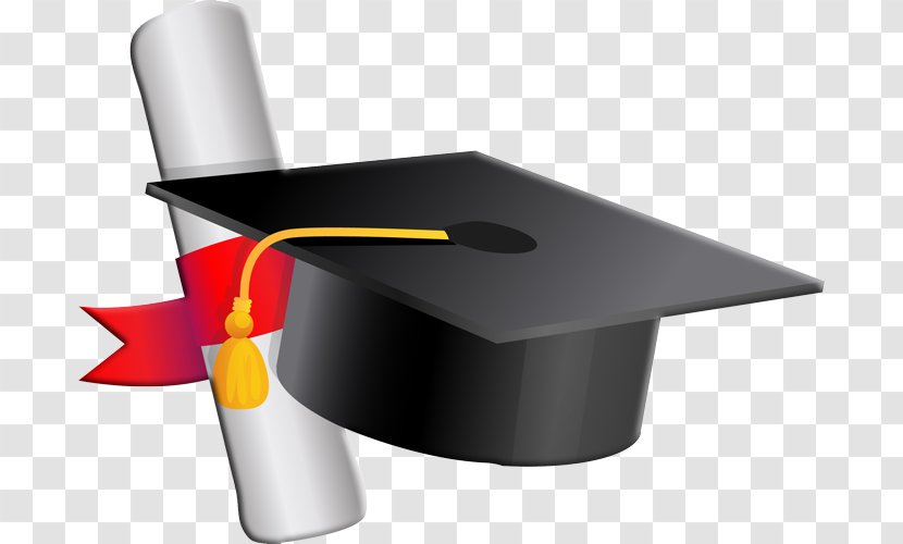 Academic Degree University Bachelor's Graduation Ceremony Student - Undergraduate Education Transparent PNG