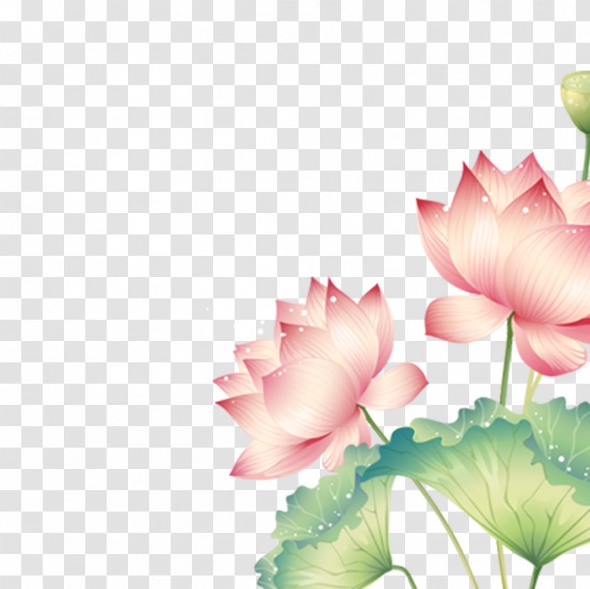 China Disease Rheumatoid Arthritis Therapy - Falun Gong - Cartoon Lotus Transparent PNG