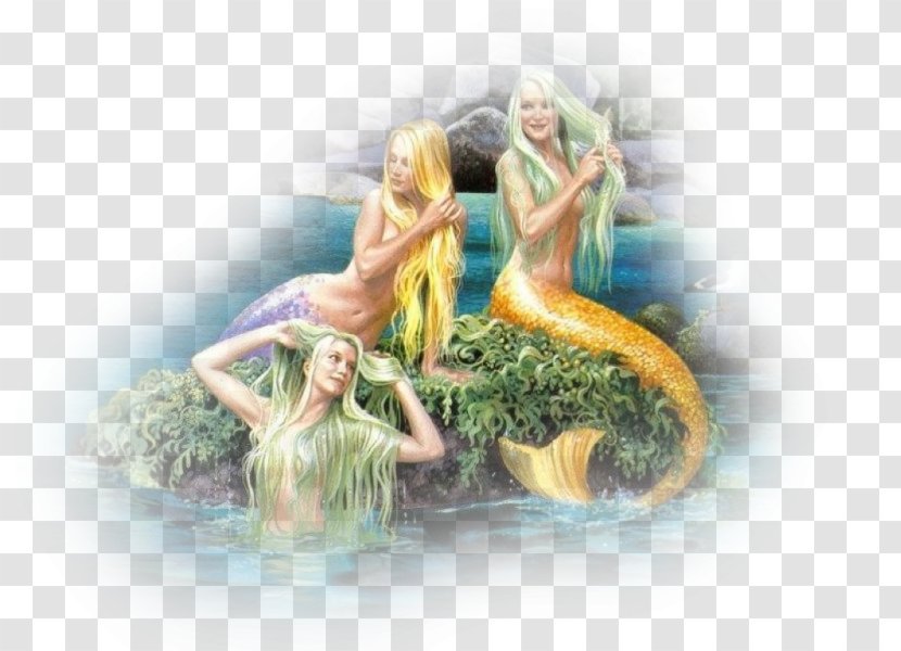 Ursula Mermaid Merman Beautiful Dreamer Triton Transparent PNG