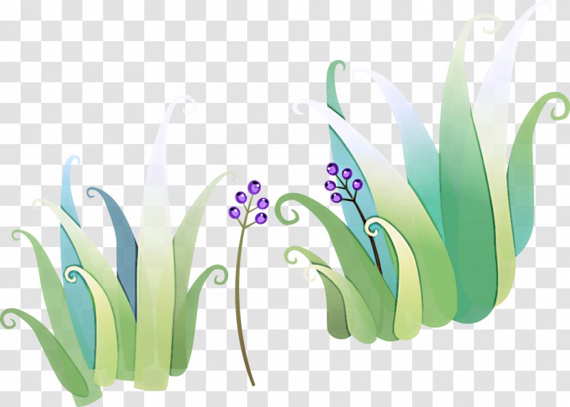 Text Plant Font Flower Tulip Transparent PNG