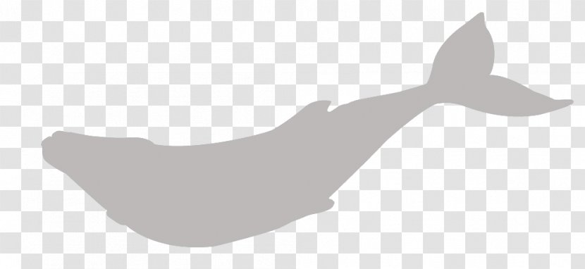 Marine Mammal Finger White - Hand - Grey Whale Transparent PNG