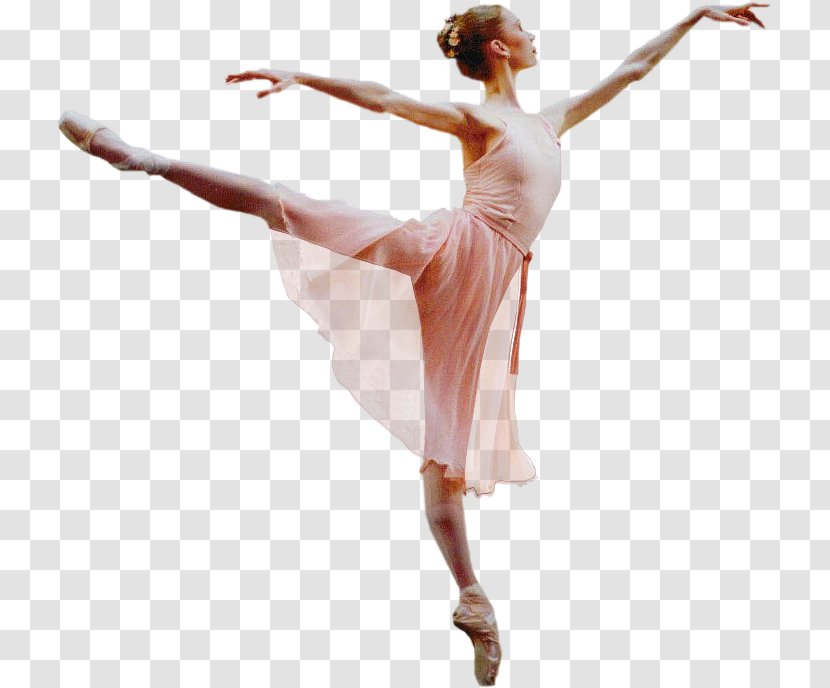 Ballet Dancer - Tree Transparent PNG