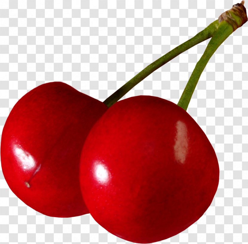 Cherry Auglis Clip Art - Plant - Cherries Transparent PNG