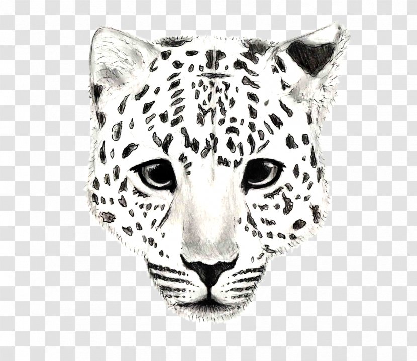 Snow Leopard Jaguar Tiger Cheetah - Black And White Transparent PNG